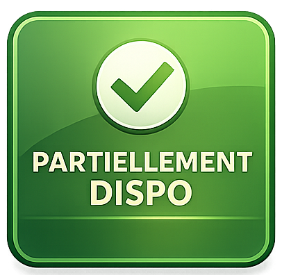 cybersécurité